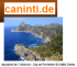 caninti.de
