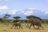 Severin_kenya