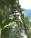 Darjeeling, Sikkim & das Land der Drachen