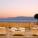 Kulinarik & Wellness