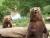 Wild- und Freizeitpark Westerwald - macht einfach tierisch Spaß!