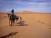 Marokko - Wüstenreise - Marrakesch und Kamel-Trekking durch die Wüste zu den...