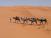 Kameltrekking in der Sahara