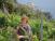 Wandern & Wein in den Cinque Terre