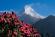 Nepal - Große Annapurna-Runde - 22 Tage Trekkingrundreise