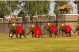 Urlaubsidee »Thailand: Elefanten Festival bei Surin 2011«