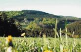 Urlaubsidee »Waldhaus Radtour Tage im Sauerland«