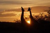 Urlaubsidee »Südafrika - Eine Radtour entlang zweier Weltmeere«