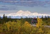 Urlaubsidee »Bären hautnah erleben in Alaska«