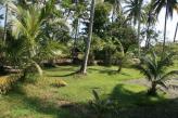 Urlaubsidee »Thailand- Homestay in der Affenschule«