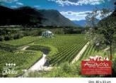 Urlaubsidee »Weinstrasse Tessin «