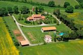Urlaubsidee »BIO-URLAUB IN DER TOSKANA: Korbflechten- und Kochkurs, Einblicke in die toskanische Tradition (OKTOBER 2011 BIS APRIL 2012)«