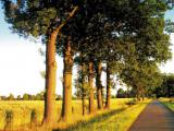 Urlaubsidee »Goldene Herbsttage im Nordseeklima ...«