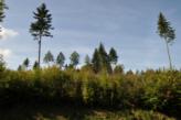 Urlaubsidee »Wandern im Land an der Lahn«