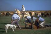 Urlaubsidee »Argentinien«