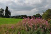 Urlaubsidee »Der Kölner Elisabethpfad: Pilgern durchs Bergische Land«