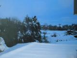Urlaubsidee »WinterSpecial im Ringhotel Köhlers Forsthaus in Aurich«
