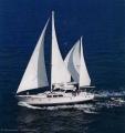 Urlaubsidee »SY Island Odyssey - Whale and Bear Watching an Kanadas Pazifikküste«