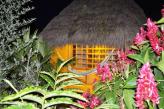 Urlaubsidee »Dschungelabenteuer in Ecuador!«