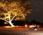 Urlaubsidee »Camping Safari im Nationalpark von Sri Lanka«