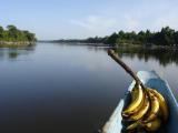 Urlaubsidee »Singlereise: Rundreise Venezuela - Regenwald und Karibik«
