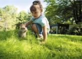 Urlaubsidee »Frühling und Ostern voller Überraschungen«