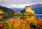 Schottland Forum Schottland Forum