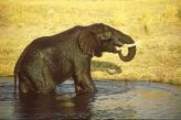 Urlaubsidee »Namibia Geo-Foto-Exkursion«