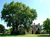 Urlaubsidee »Grenzübergreifende Ferienidee: Resort in der Toskana, Umbria ganz nah.«