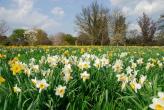 Urlaubsidee »Frühlingszeit - Osterzeit. Wohlfühlzeit in Ost(er)friesland.«