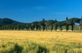 Urlaubsidee »Golf & Relax im eleganten Landgut in der Maremma Toskana«