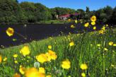 Urlaubsidee »Champagner-Träume ... in Ostfriesland«