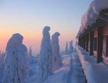 Urlaubsidee »Teamleader Training in Finnland vom 14.03. - 20.03.2011«
