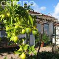 Urlaubsidee »Quinta No Campo: Ein umweltfreundliches Haus - Portugal«