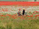 Urlaubsidee »Aktivreisen auf der Halbinsel Krim: Rad- & Wanderreisen an der Südküste der Krim:«
