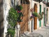 Urlaubsidee »MALLORCA, mal(lle) ganz anders für SINGLES«