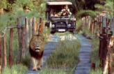 Urlaubsidee »Namibia entdecken«