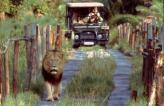 Urlaubsidee »Namibia-Rundreise«