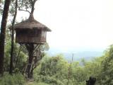 Urlaubsidee »Thailand: Kanchanaburi Erlebnis und Abenteuer - Reisen«