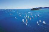 Urlaubsidee »Profisegler zu Gast in Hamilton Island / Whale Watching in den Whitsundays«