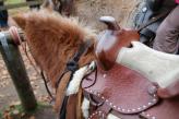 Urlaubsidee »Westernreiten für die ganze Familie«