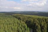 Urlaubsidee »Indian Summer auf der Sauerland-Waldroute«
