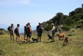 Urlaubsidee »Elba für Alleinreisende & Singles mit Hund! «