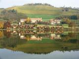 Urlaubsidee »Weinreise in die Steiermark - Weingenuss zwischen Tradition und Moderne (Juni 2012)«