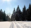 Urlaubsidee »Sauerland Winterland – Wo die Schneekönige wohnen                                    «
