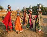 Urlaubsidee »Erlebnisreise nach Rajasthan, Tigersafari und Besuch im Rattentempel«