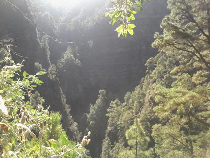 Bild 2 zur Urlaubsidee »LA PALMA/KANAREN : Yoga und Wellnessurlaub ganz individuell «