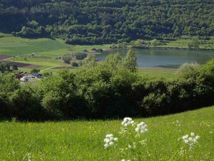 Bild 2 zur Urlaubsidee »Basenfasten, Wandern und Wellness in der Vulkaneifel«