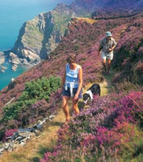 Bild 3 zur Urlaubsidee »Reisen mit Hund - "Südengland auf vier Pfoten"«