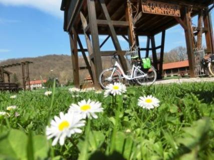 Bild 3 zur Urlaubsidee »Stern-Radtouren rund um Naumburg«